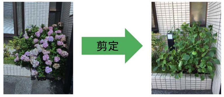 春に向けた植木の冬季管理について 岡山・赤穂・備前のエクステリア 外構 ガーデニングはエクスライフへ