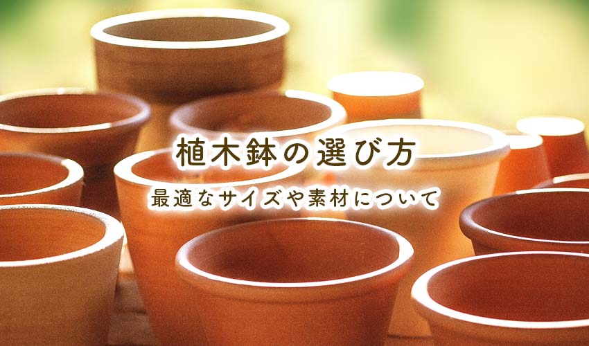 植木鉢の選び方 最適なサイズや素材について 岡山 赤穂 備前のエクステリア 外構 ガーデニングはエクスライフへ